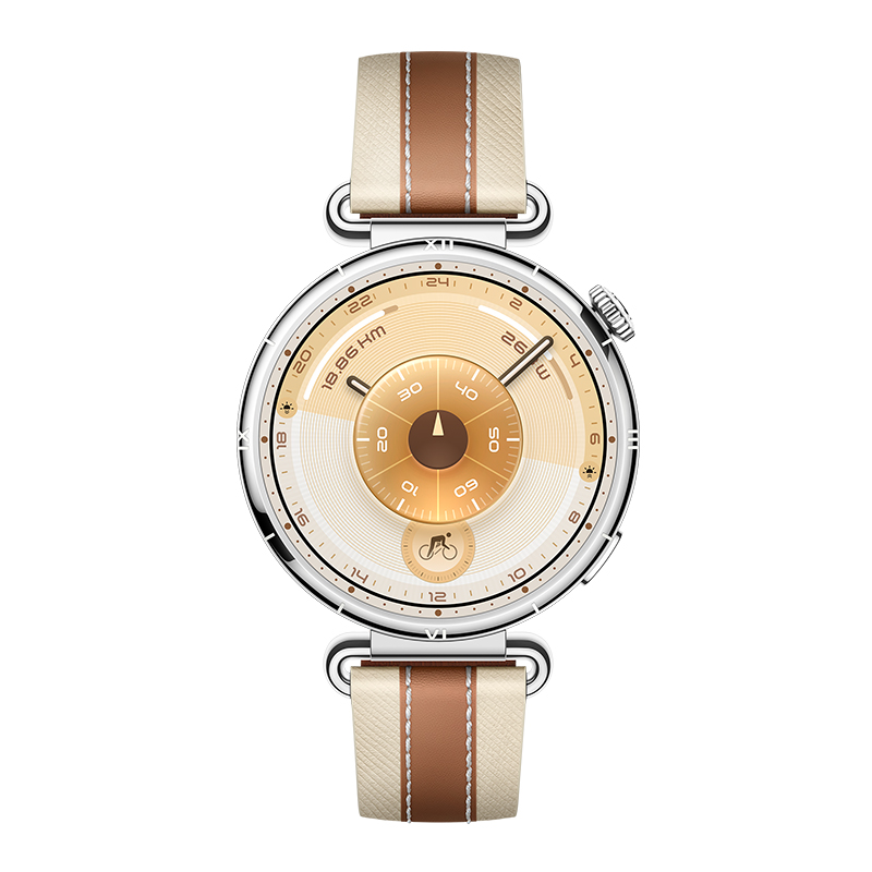 HUAWEI WATCH GT 6 Brown 41mm