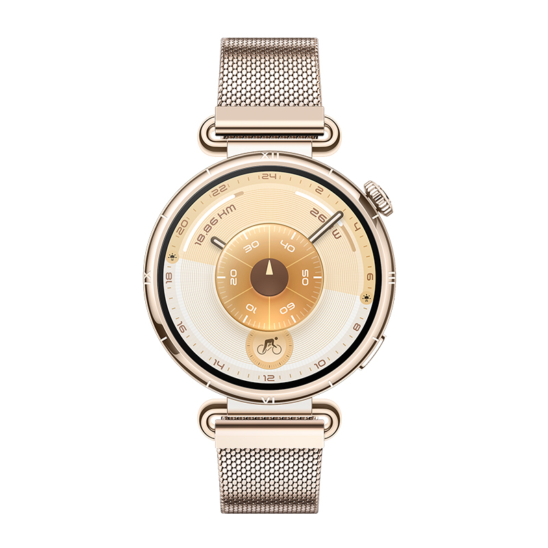 HUAWEI WATCH GT 6 Gold 41mm