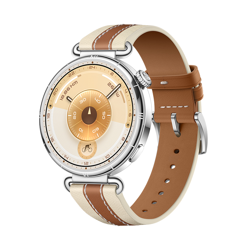 HUAWEI WATCH GT 6 Brown 41mm